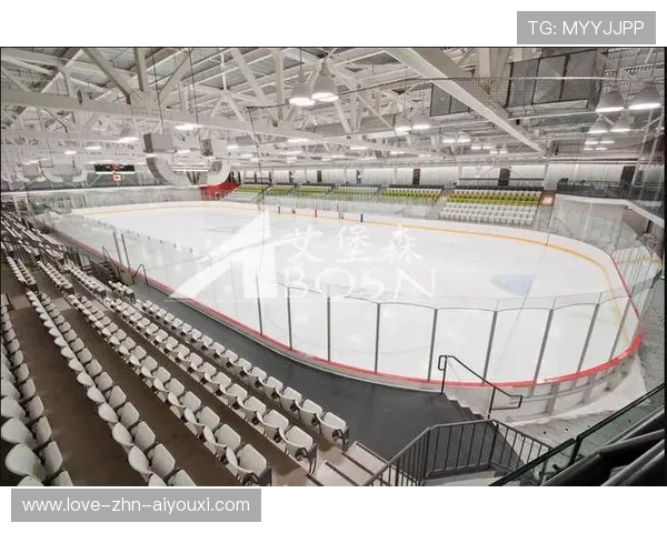 冰球练习场地升级,山东新兴聚乙烯板材助力冬季训练,冰球比赛用球材料