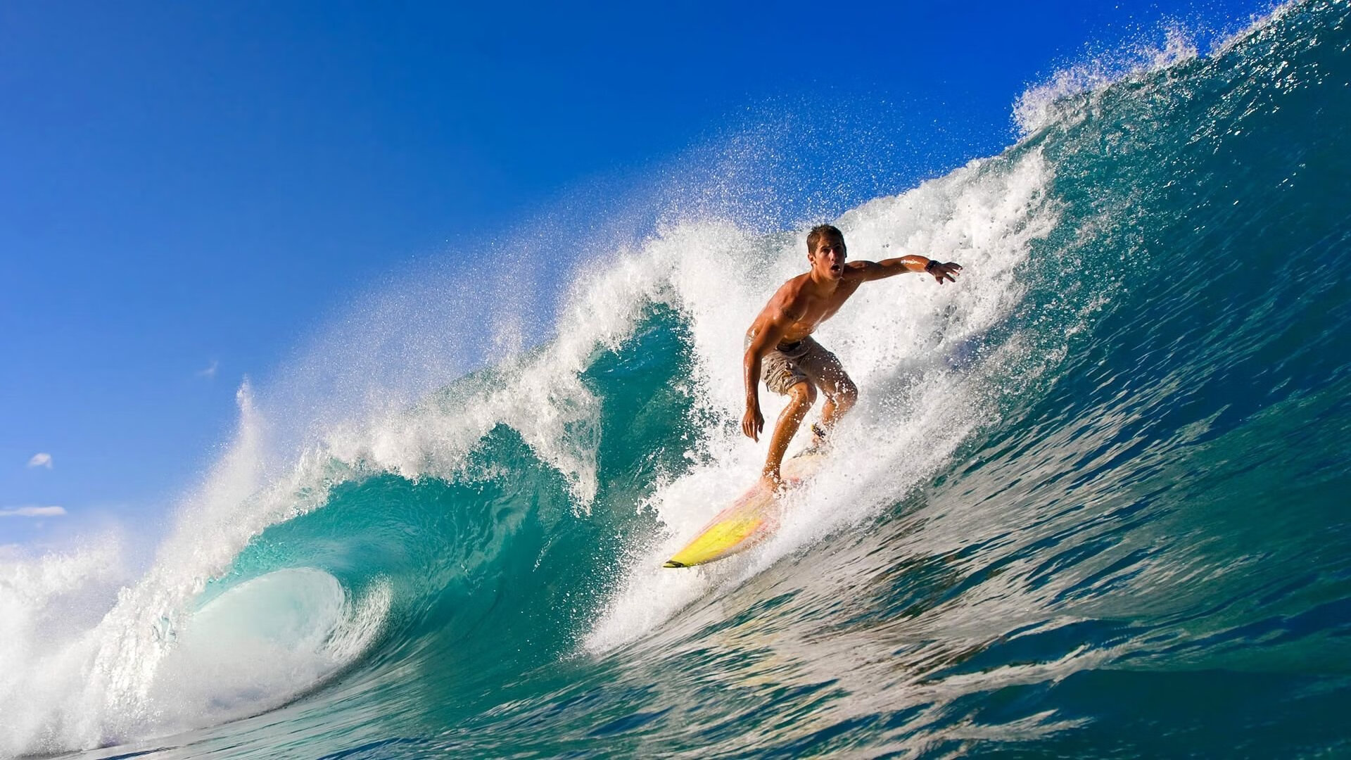 球迷热议最强球员